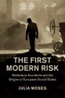 Julia Moses, Julia (University of Sheffield) Moses - First Modern Risk
