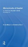 Kevin Morgan, Kevin (University of Wales Morgan, Kevin Sayer Morgan, Andrew Sayer - Microcircuits of Capital