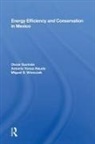 Oscar Guzman, Oscar Guzmán, Guzán Oscar, Guzan Yunez-Naude Oscar, Miguel S. Wionczek, Antonio Yúnez-Naude - Energy Efficiency and Conservation in Mexico