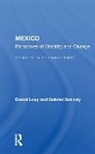 Daniel Levy, Daniel Szekely Levy, Levy Daniel, Gabriel Székely - Mexico