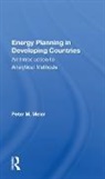 Peter Meier, Peter M. Meier, Meier Peter - Energy Planning in Developing Countries
