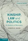 Joseph David, Joseph E David, Joseph E. David, David Joseph E. - Kinship, Law and Politics