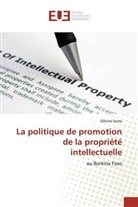 Diloma Soma - La politique de promotion de la propriété intellectuelle