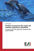 Antonio Orrico - Predirre il percorso dei suoni nel mondo acquatico è possibile