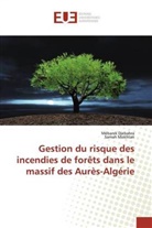 Mebare Djebabra, Mebarek Djebabra, Samah Mokhtari - Gestion du risque des incendies de forêts dans le massif des Aurès-Algérie