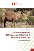 Moulay Youssef Lyaktini - Lésions de gale et déficience en Vitamine A chez le dromadaire