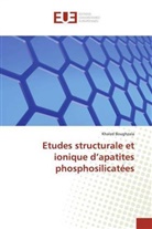Khaled Boughzala - Etudes structurale et ionique d'apatites phosphosilicatées