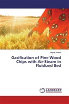 Najdat Salami - Gasification of Pine Wood Chips with Air-Steam in Fluidized Bed