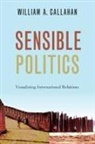 William A. Callahan, Callahan William A. - Sensible Politics