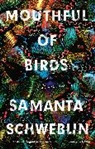 Megan Mcdowell, Samanta Schweblin - Mouthful of Birds