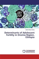 Sebsib Belay Kelkay - Determinants of Adolescent Fertility in Oromia Region, Ethiopia