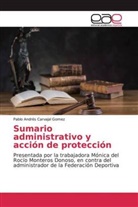 Pablo Andrés Carvajal Gomez - Sumario administrativo y acción de protección