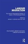 James H. (North Carolina State University Johnson, James H. (University of Wales Johnson, James H. Salt Johnson, James H Johnson, James H. Johnson, John Salt - Labour Migration