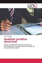 Alvaro Cabrera - Análisis jurídico doctrinal