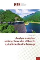 Guessas Habib - Analyse morpho-sédimentaire des affluents qui allimentent le barrage