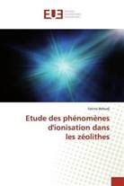Fatima Belhadj - Etude des phénomènes d'ionisation dans les zéolithes