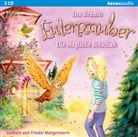 Ina Brandt, Friedel Morgenstern - Eulenzauber - Die magische Botschaft, 2 Audio-CD (Audio book)