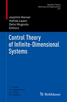 Joachim Kerner, Hafid Laasri, Hafida Laasri, Delio Mugnolo - Control Theory of Infinite-Dimensional Systems