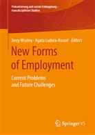 Ludera-Ruszel, Ludera-Ruszel, Agat Ludera-Ruszel, Agata Ludera-Ruszel, Wratny, Jerz Wratny... - New Forms of Employment
