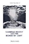 Stephen Beachy - Leahbelle Beachy and the Beings of Light