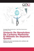 Rau Perez Bustamante, Raul Perez Bustamante, Fernand Pérez Bustamante, Fernando Pérez Bustamante, Juan Ramos Cano - Síntesis De Nanotubos De Carbono Mediante El Método De Depósito Químic