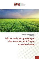 Augustin Ndiangu Ndiaye, Augustin Ndiangue Ndiaye, El Hadji Tine - Démocratie et dynamique des revenus en Afrique subsaharienne