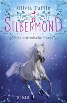 Olivia Tuffin - Silbermond: Eine stürmische Nacht