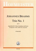 Johannes Brahms, Gjorgji Cincievski - Trio No. 1, eingerichtet für Violine, Kontrabass und Klavier