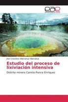 Jhon Cristoforo Villamahua Villamahua - Estudio del proceso de lixiviación intensiva