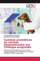 Raúl Alberto Barrantes Heredia, Gius Reyna Cotrina, Giussepe Martín Reyna Cotrina, Arnold Eduard Torres Estrada, Arnold Eduardo Torres Estrada - Cambios prostáticos en caninos diagnosticados por Citología ecoguiada