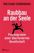 Wolfgang Schmidbauer - Raubbau an der Seele