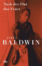 James Baldwin - Nach der Flut das Feuer