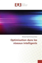 Michael David De Souza Dutra - Optimisation dans les réseaux intelligents