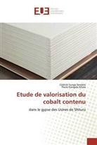 Cédric Ilunga Sendele, Cédrick Ilunga Sendele, Pierre KONGOLO KITALA - Etude de valorisation du cobalt contenu