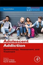 Cecilia A. Essau, Cecilia A. (EDT)/ Delfabbro Essau, Paul Delfabbro, Paul (School of Psychology Delfabbro, Delfabbro Paul, Cecilia A. Essau... - Adolescent Addiction