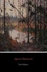 Algernon Blackwood - The Willows