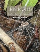 William Eberhard - Spider Webs