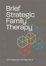 Olga Hervis, Jose Szapocznik, José Szapocznik, Jose Hervis Szapocznik - Brief Strategic Family Therapy