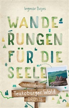 Ingmar Bojes - Teutoburger Wald. Wanderungen für die Seele