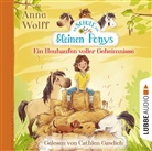 Anne Wolff, Cathlen Gawlich, Nadine Reitz - Die Schule der kleinen Ponys - Ein Heuhaufen voller Geheimnisse, 2 Audio-CD (Hörbuch)