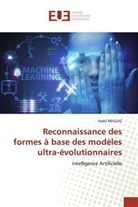 Nabil NEGGAZ - Reconnaissance des formes à base des modèles ultra-évolutionnaires