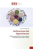 Mohammed Djelilate - Anthracnose des légumineuses