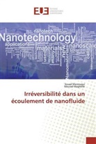 Mourad Magherbi, Souad Marzougui - Irréversibilité dans un écoulement de nanofluide