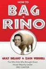 Gray Delany, Zach Werrell, Harry Stein - How to Bag a RINO: The Whiz Kids Who Brought Down House Majority Leader Eric Cantor