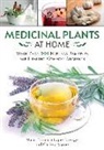 María Tránsito López Luengo, Mária Tránsito López Luengo, Carlota Máñez - Medicinal Plants at Home