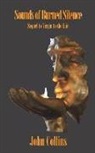 John Collins - Sounds of Burned Silence