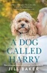 Jill Baker - A Dog Called Harry