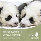 Zoo Berlin, Zoo Berlin - Kleine Schritte - Große Pandas / Small steps for giant Pandas