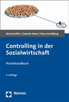 Bern Halfar, Bernd Halfar, Gabriel Moos, Gabriele Moos, Klaus Schellberg - Controlling in der Sozialwirtschaft