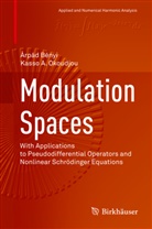Arpad Benyi, Árpá Bényi, Árpád Bényi, Kasso A Okoudjou, Kasso A. Okoudjou - Modulation Spaces